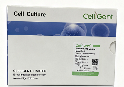<b><font color='#333333'>Fetal Bovine Serum Excellent（One Shot）</font></b>
