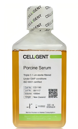 <font color='#333333'>Porcine Serum</font>